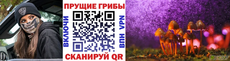 Купить закладки  Нелидово  Галлюциногенные грибы MAGIC MUSHROOMS 